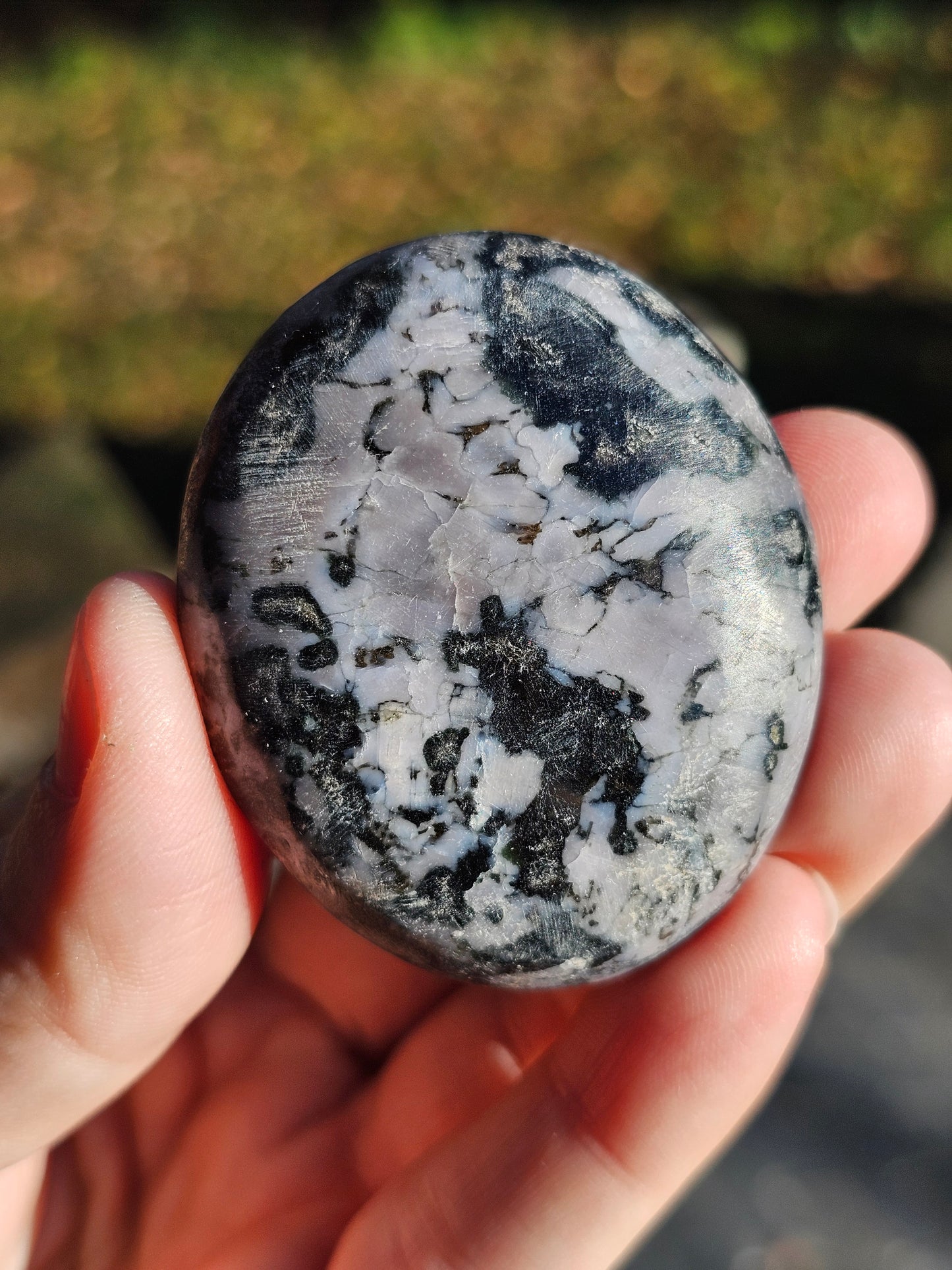 Galet Gabbro (à choisir)