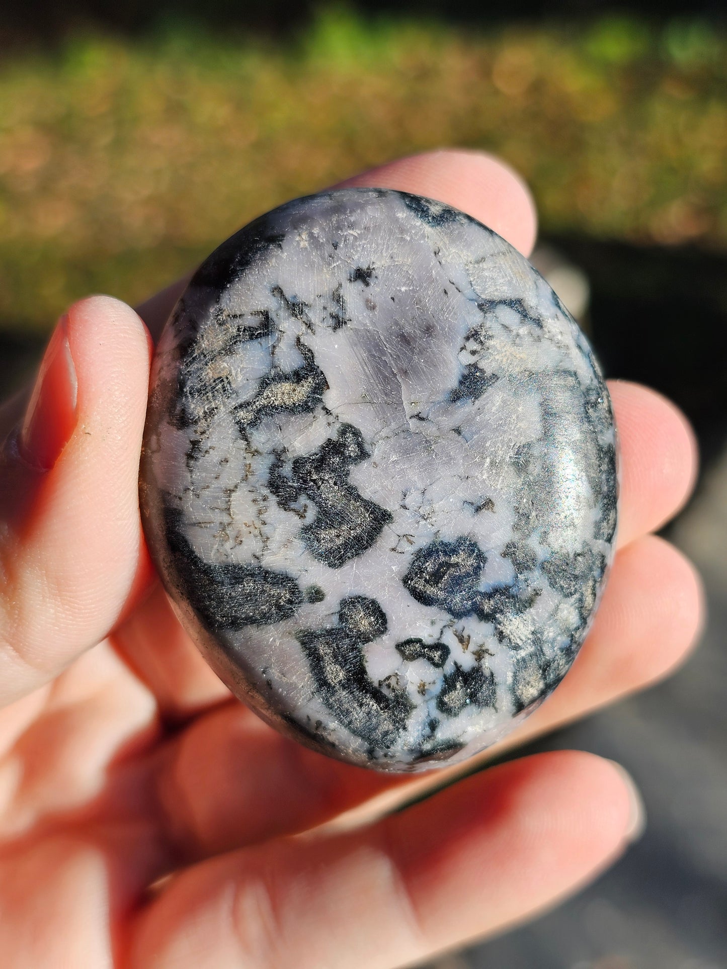 Galet Gabbro (à choisir)