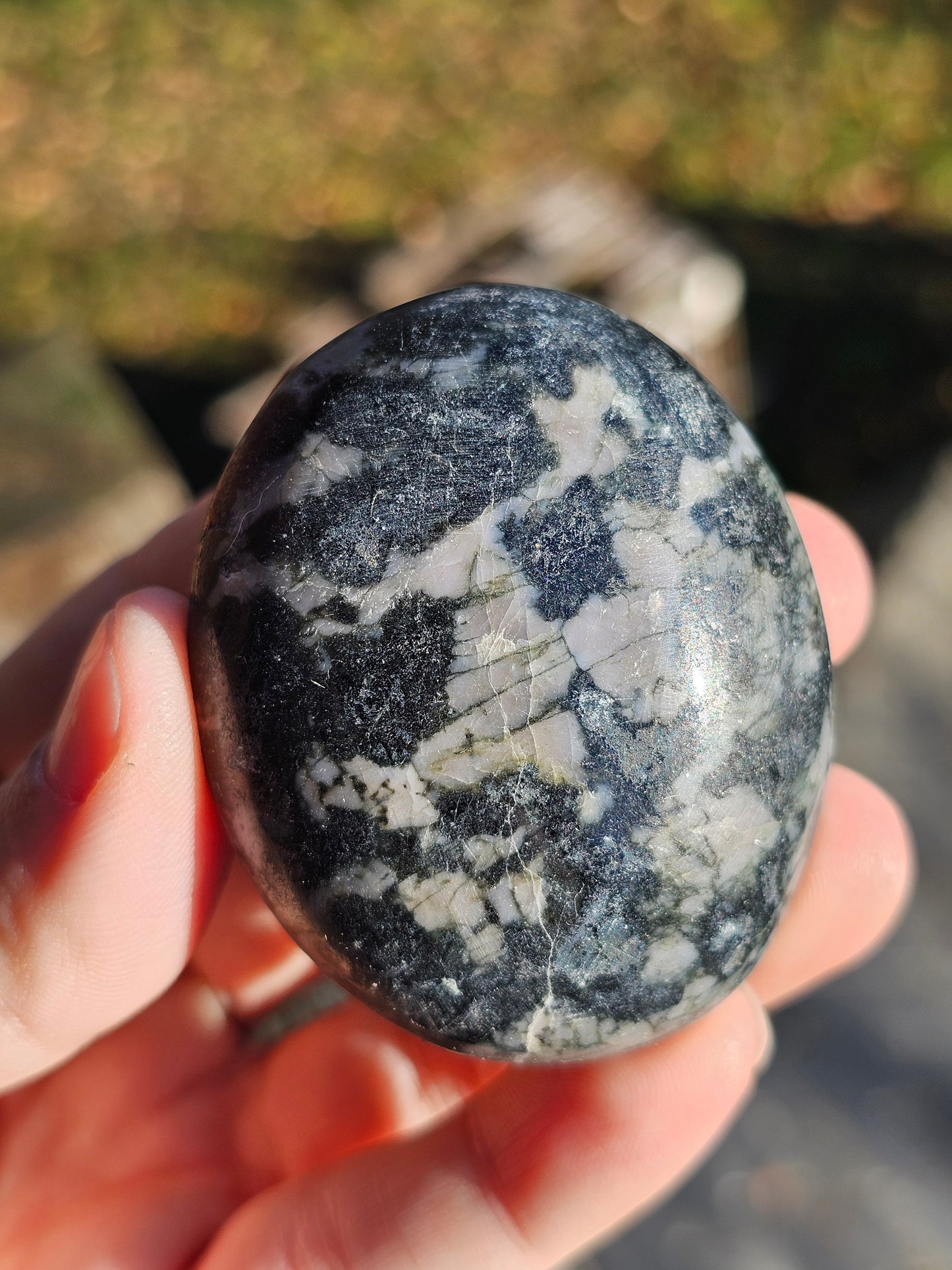 Galet Gabbro (à choisir)