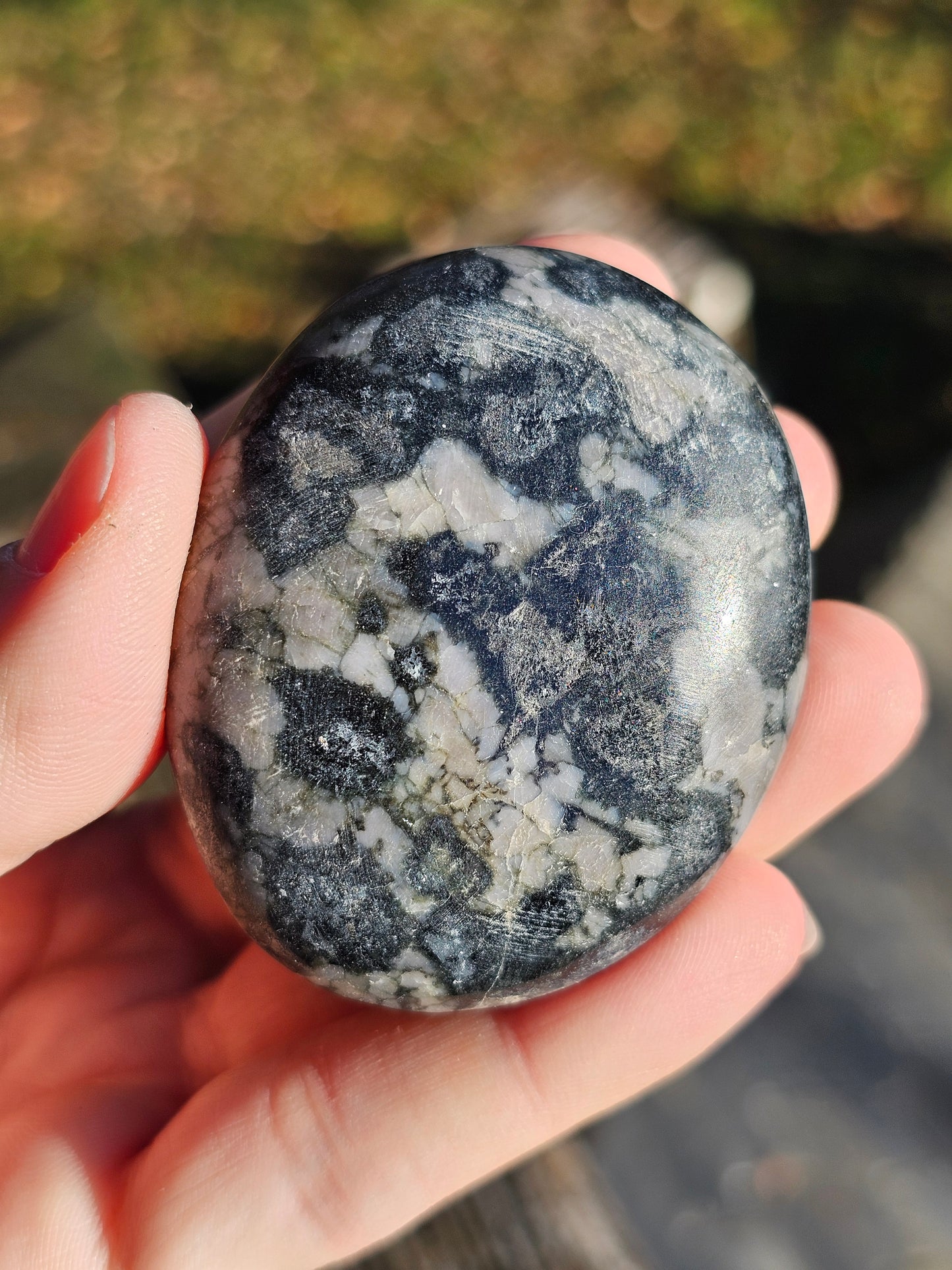 Galet Gabbro (à choisir)