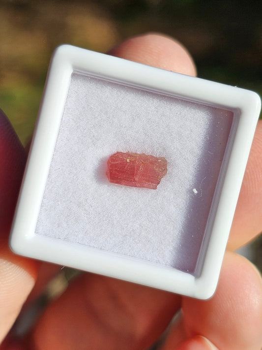 Tourmaline rose (à choisir)