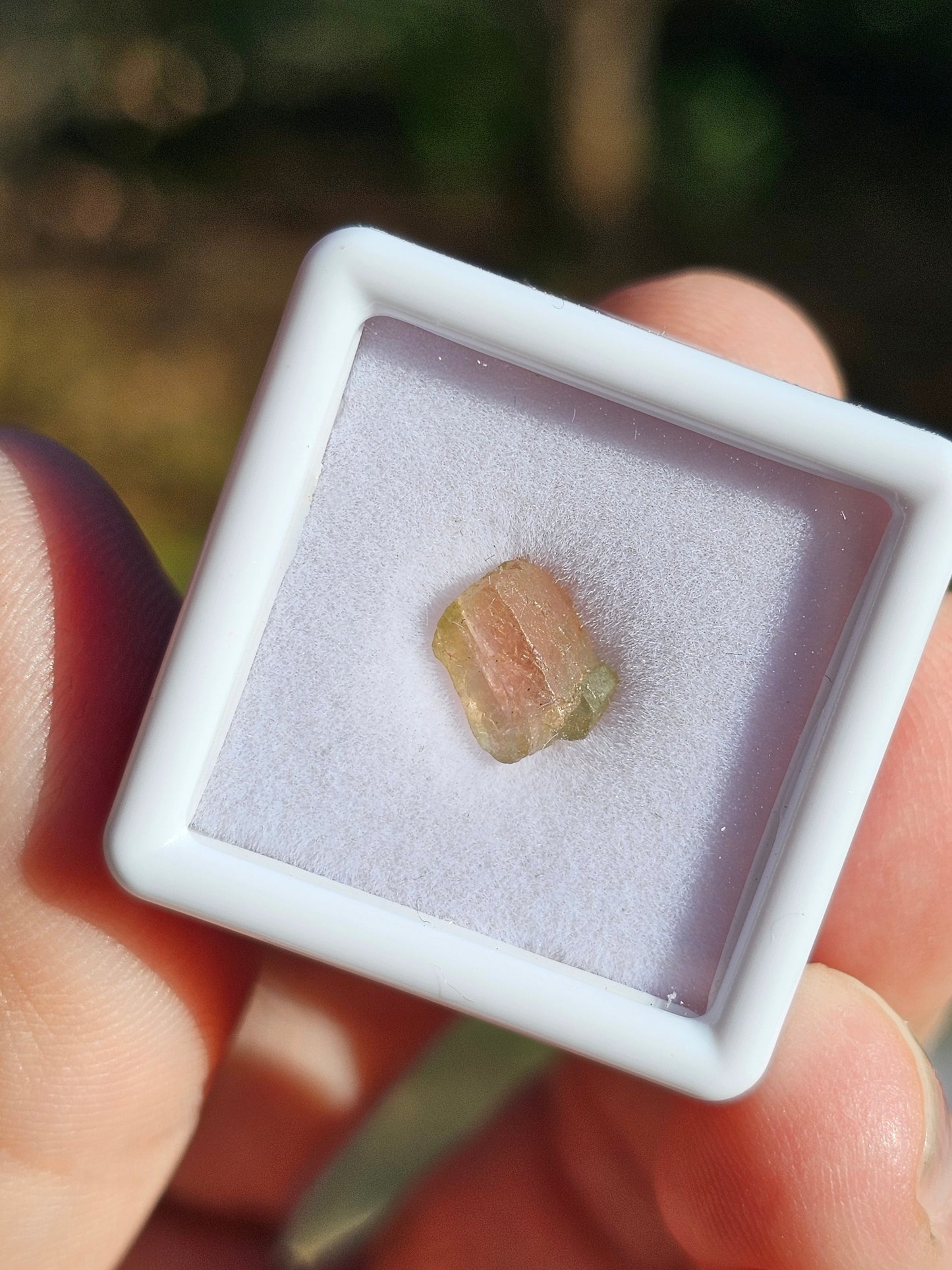 Tourmaline melon d'eau (à choisir)