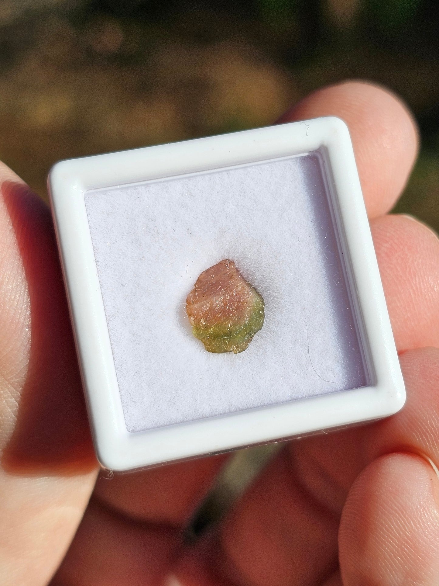 Tourmaline melon d'eau (à choisir)