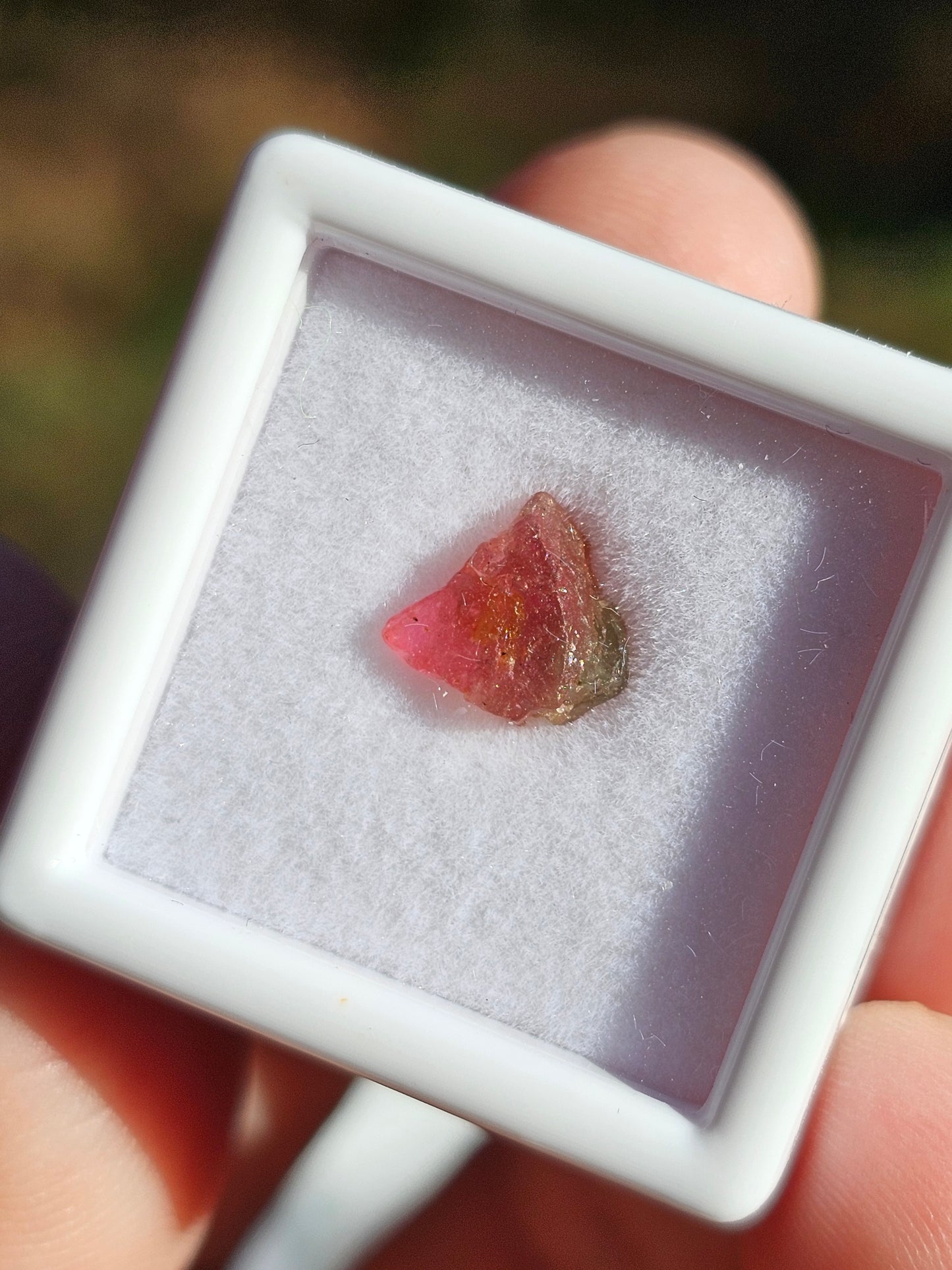 Tourmaline melon d'eau (à choisir)
