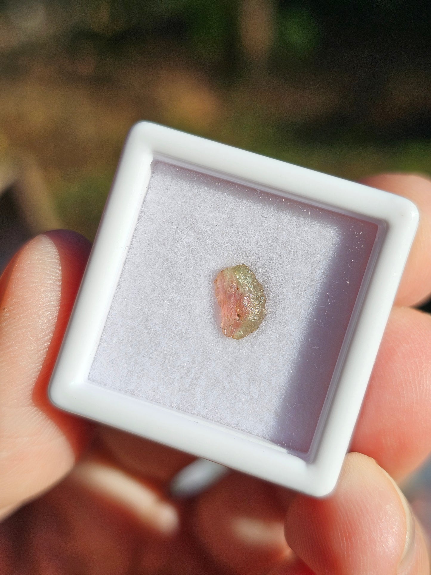 Tourmaline melon d'eau (à choisir)