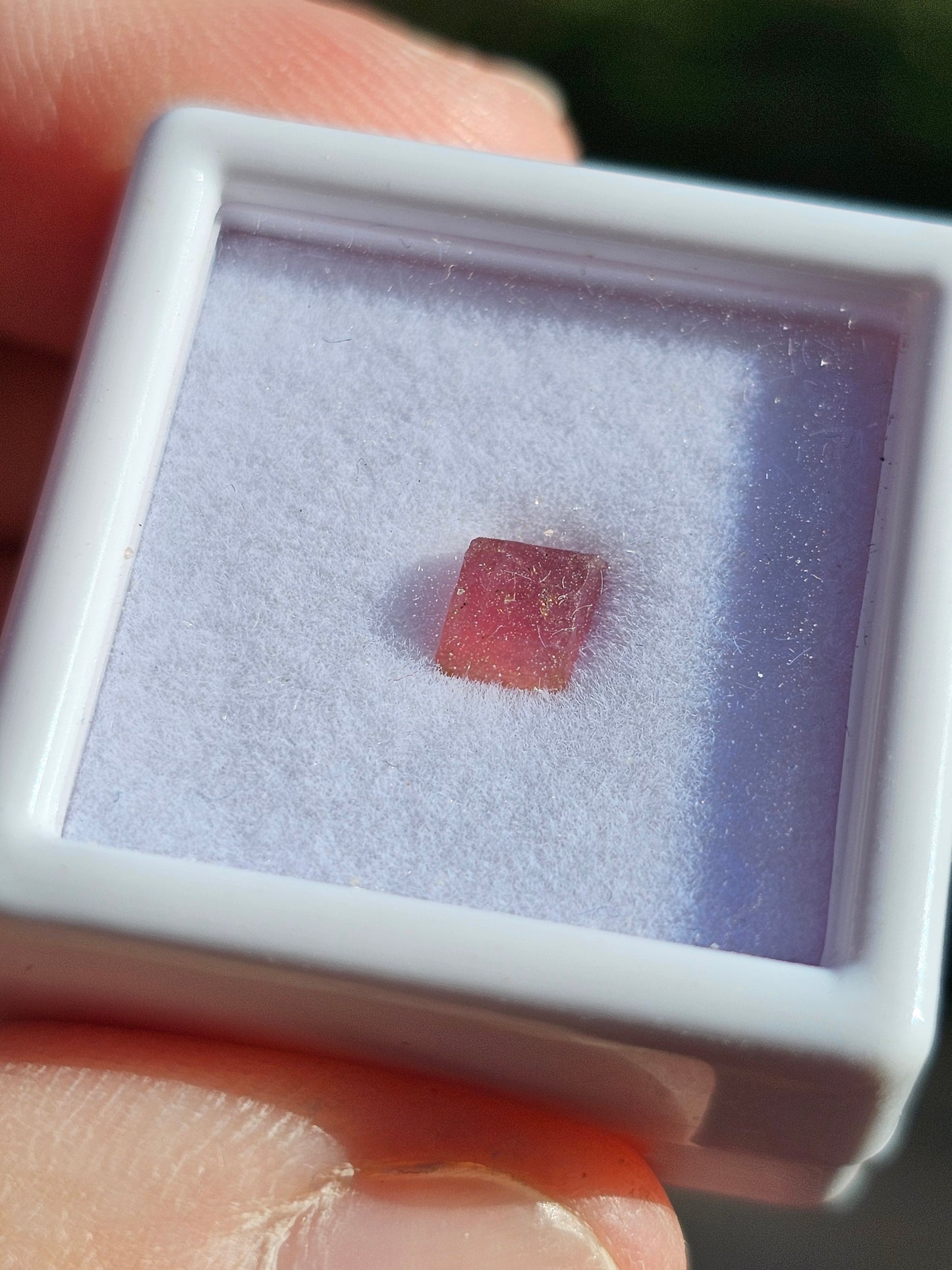Tourmaline rose (à choisir)