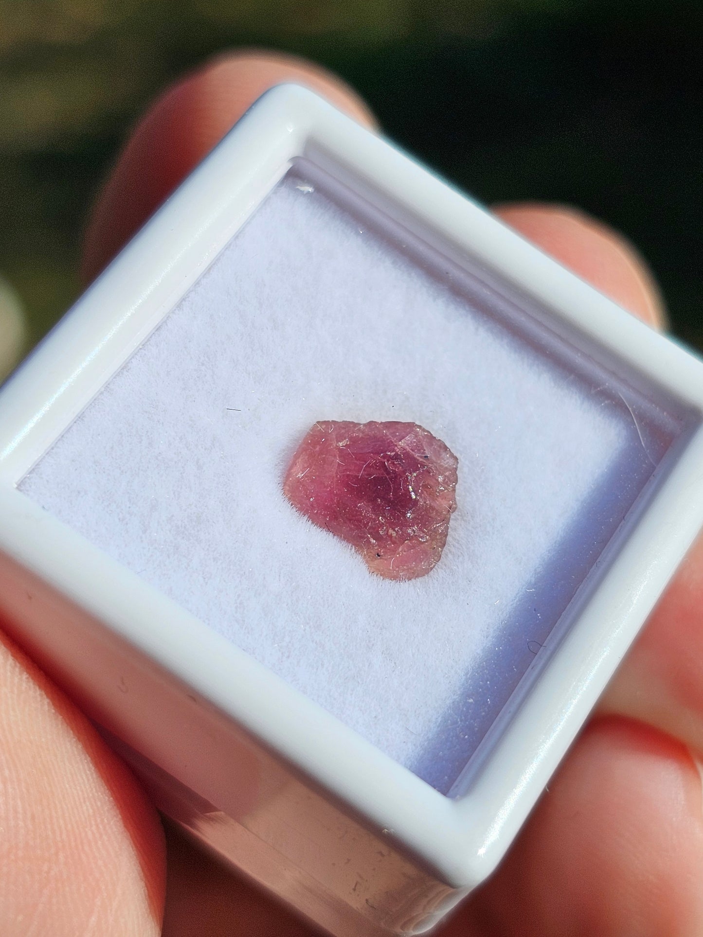 Tourmaline rose (à choisir)