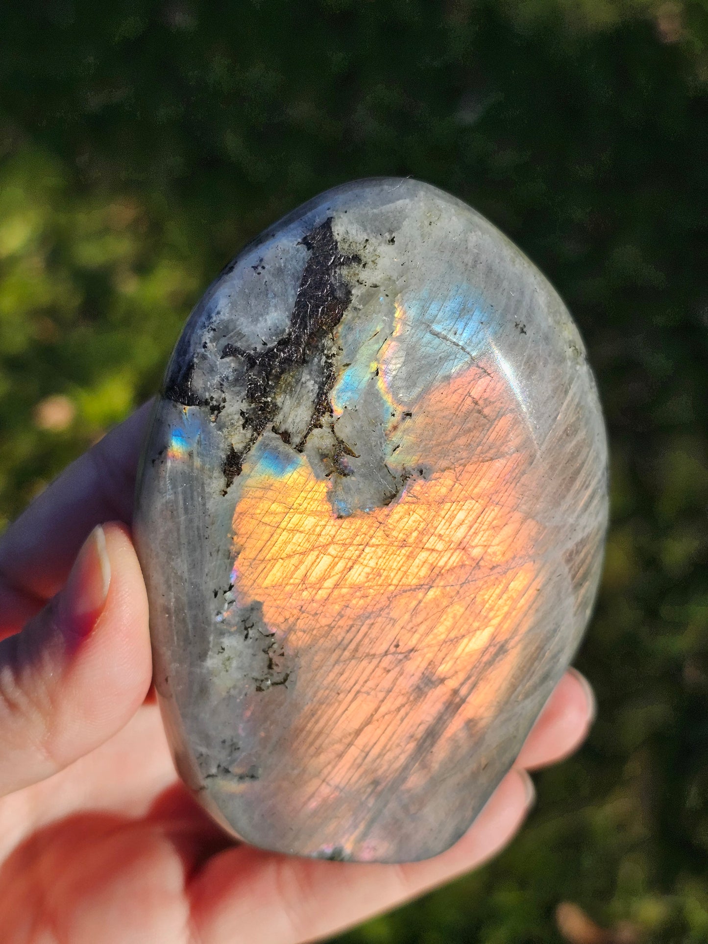 Forme libre Labradorite B