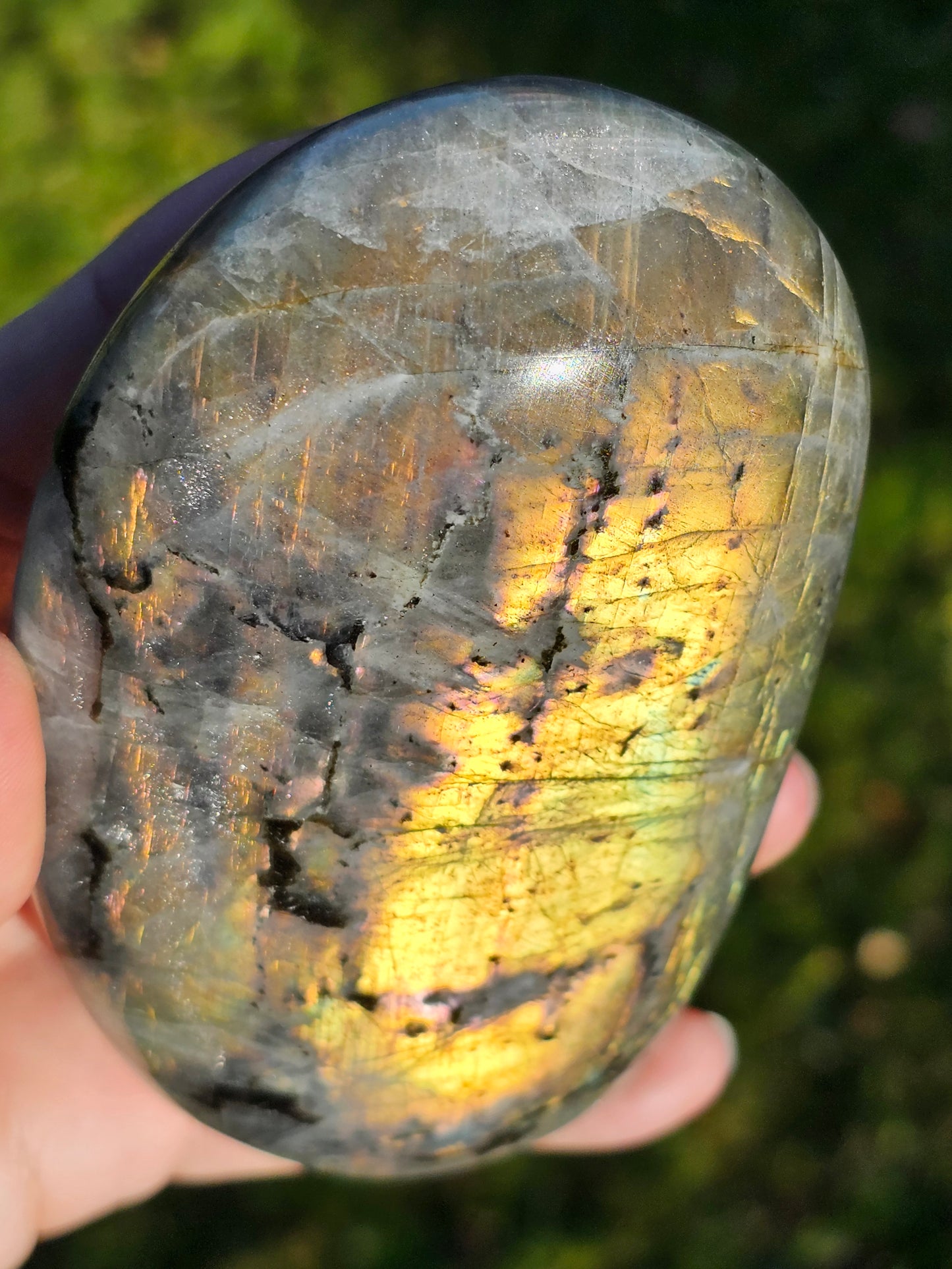 Forme libre Labradorite C