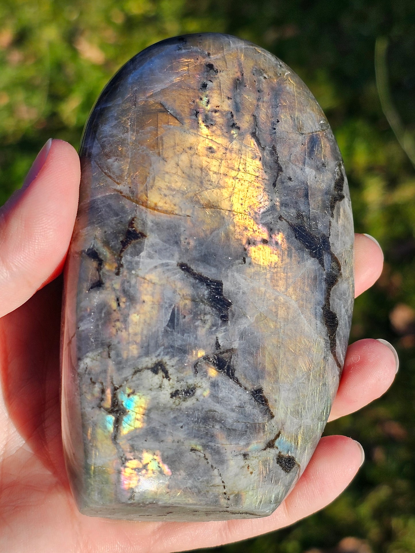 Forme libre Labradorite C