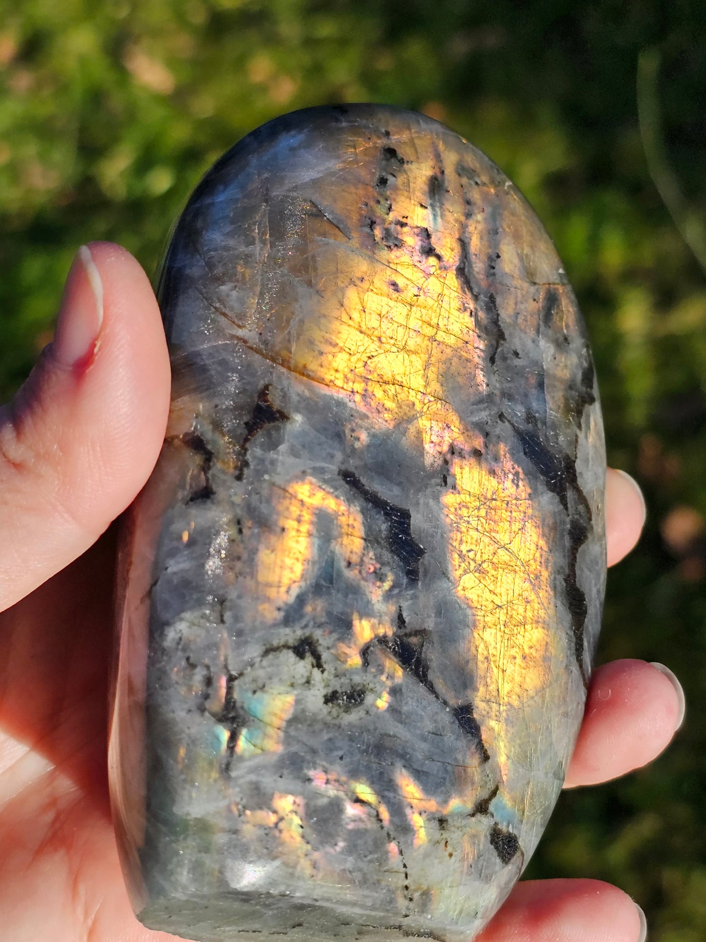 Forme libre Labradorite C