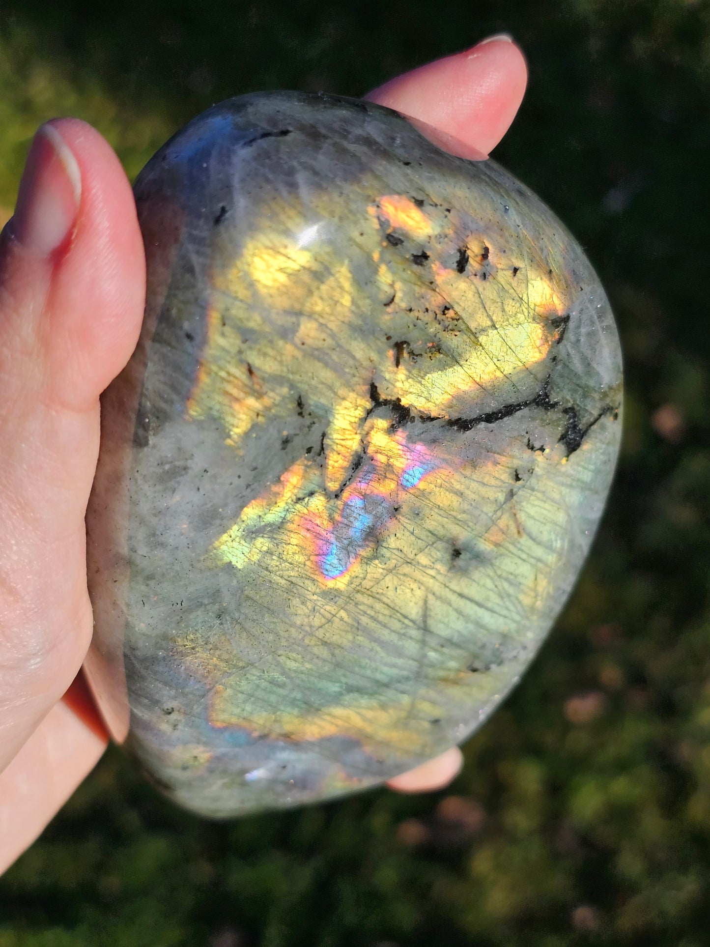 Forme libre Labradorite E