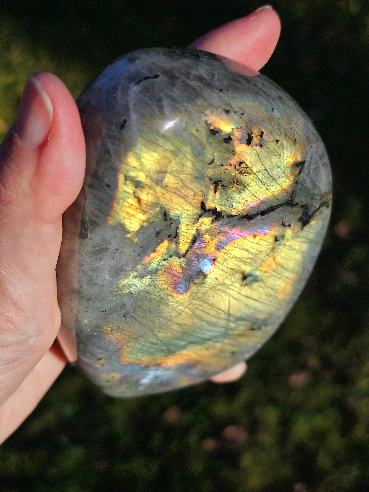 Forme libre Labradorite E