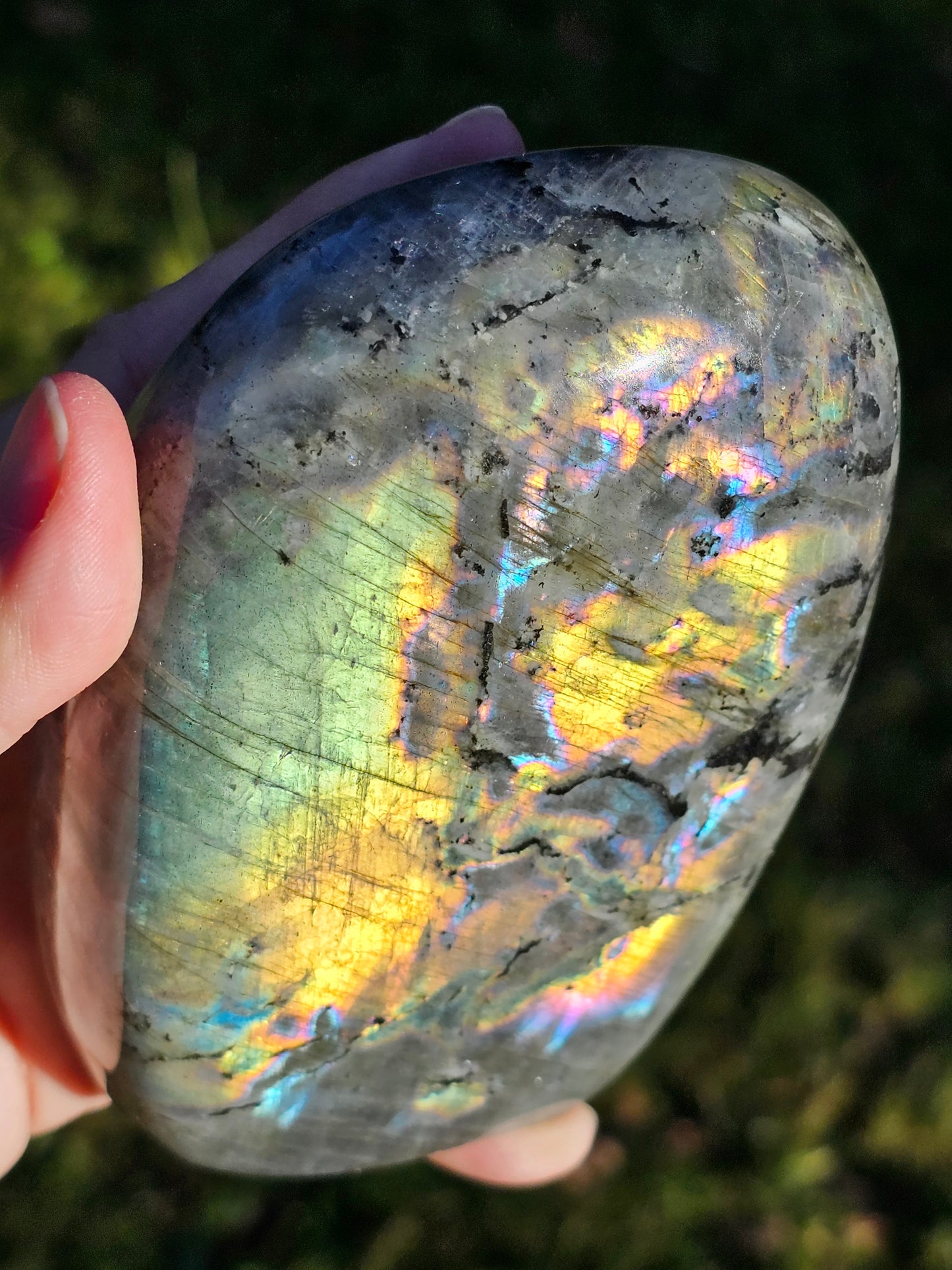 Forme libre Labradorite D