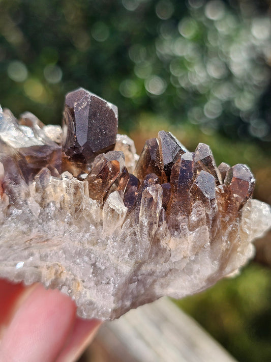 Quartz fumé du Brésil Q4