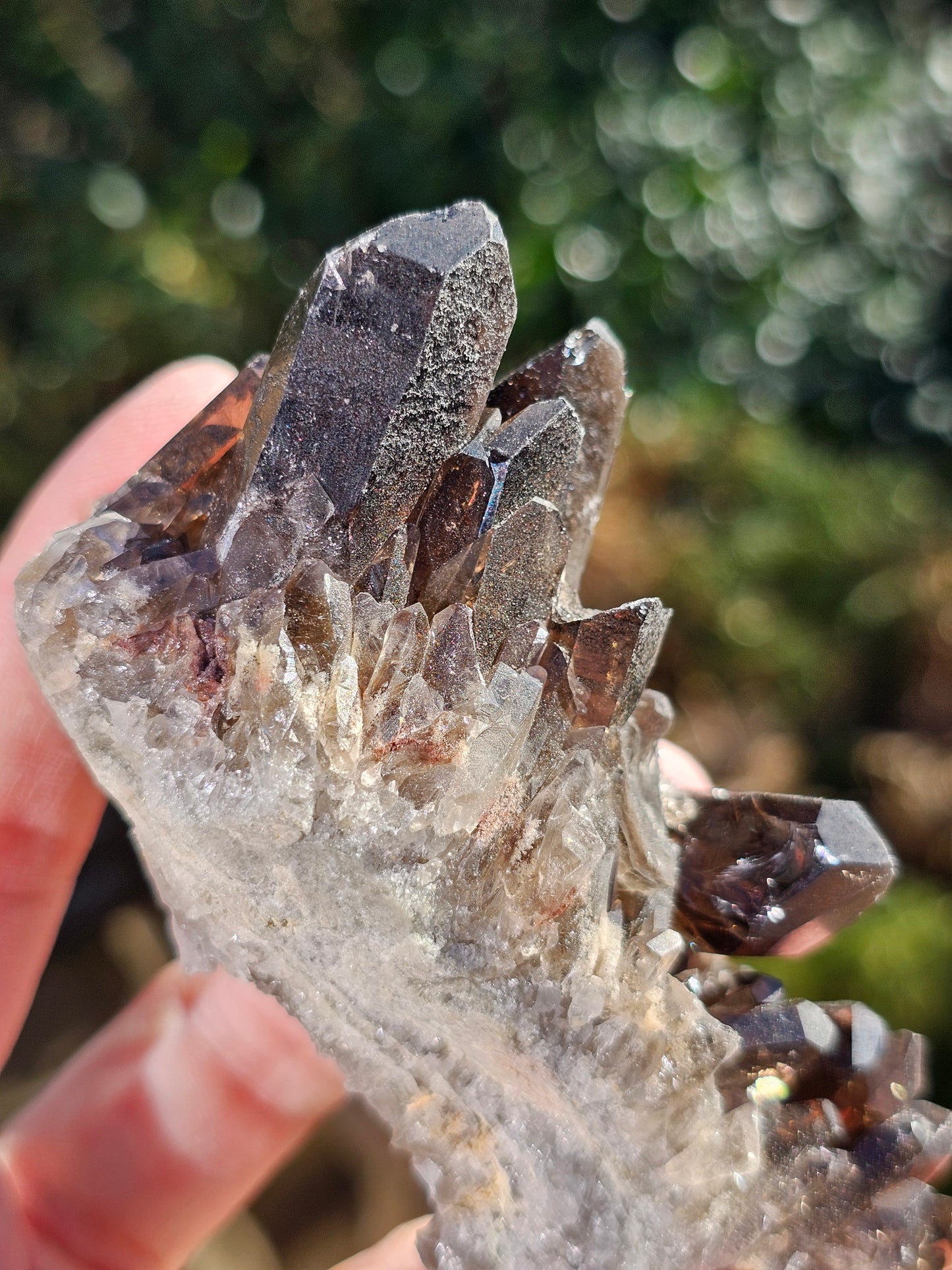Quartz fumé du Brésil Q4