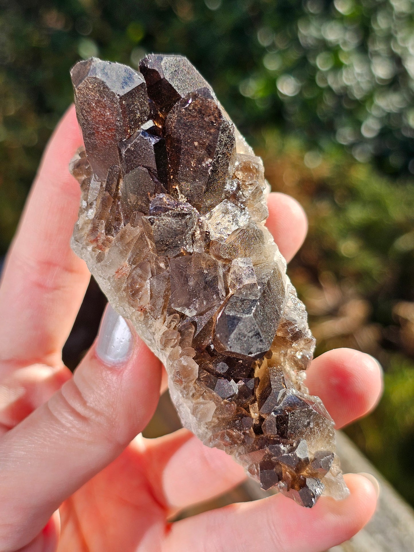 Quartz fumé du Brésil Q4