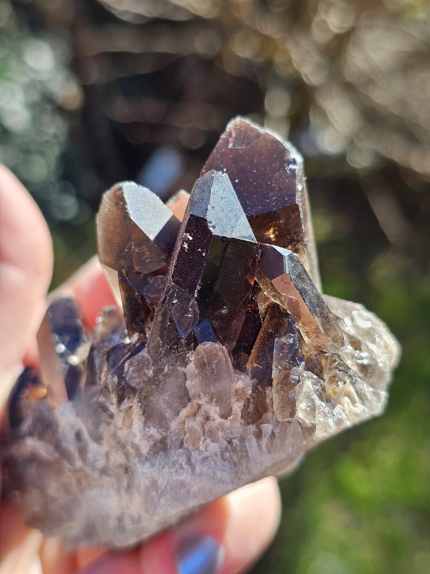 Quartz fumé du Brésil Q4