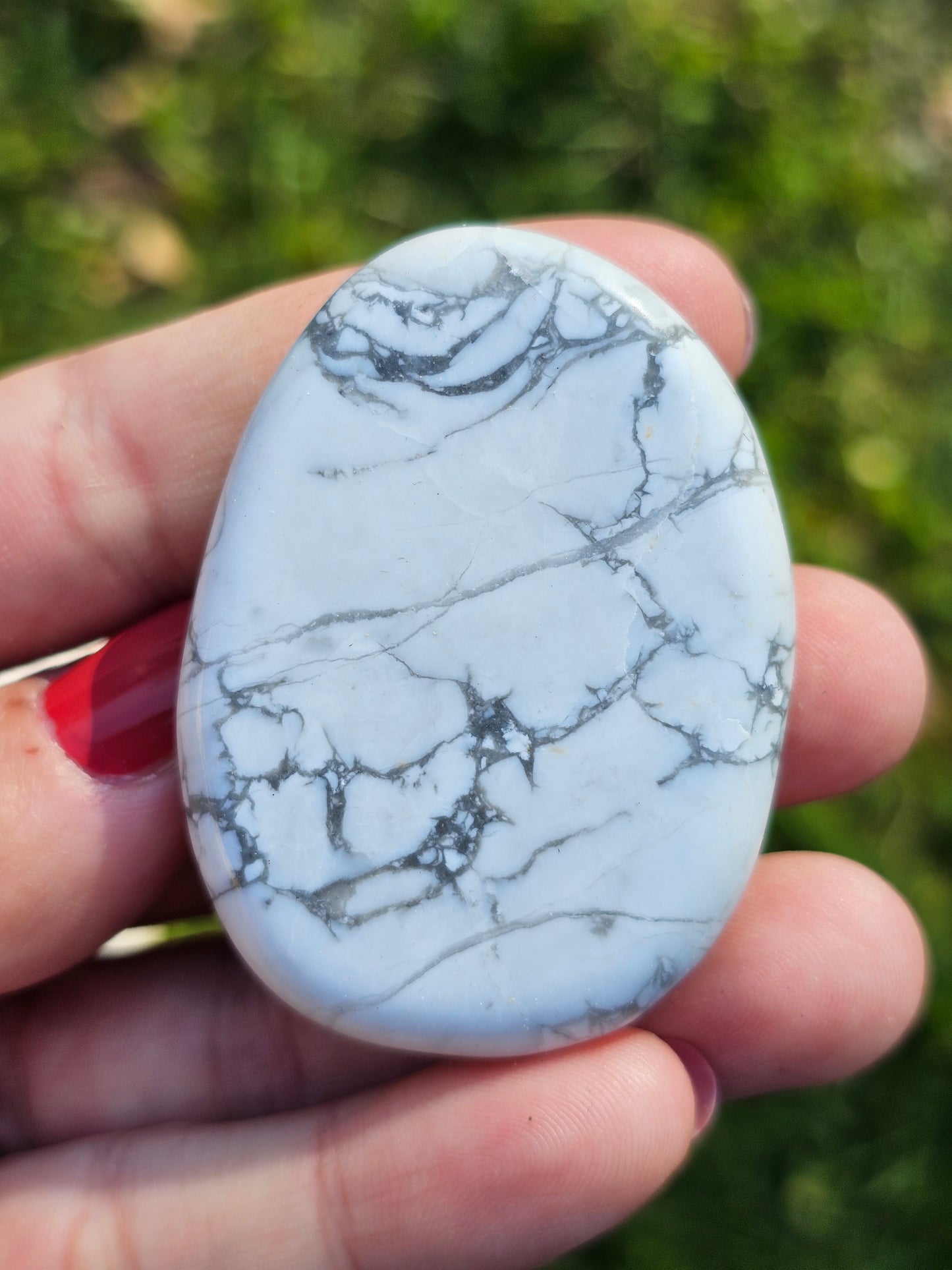 Galet plat Howlite (à choisir)