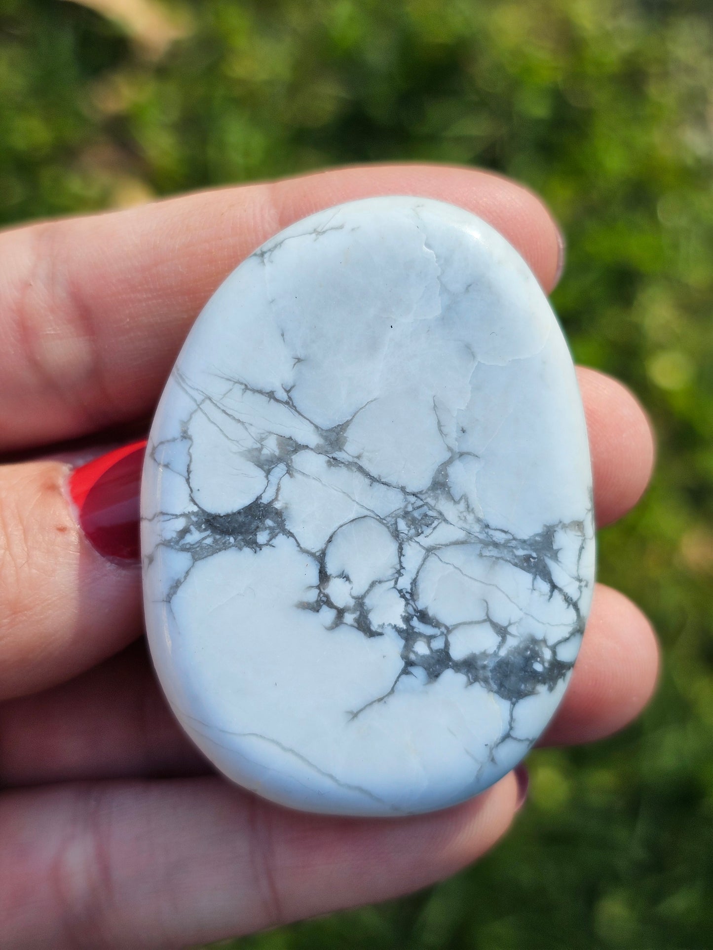 Galet plat Howlite (à choisir)