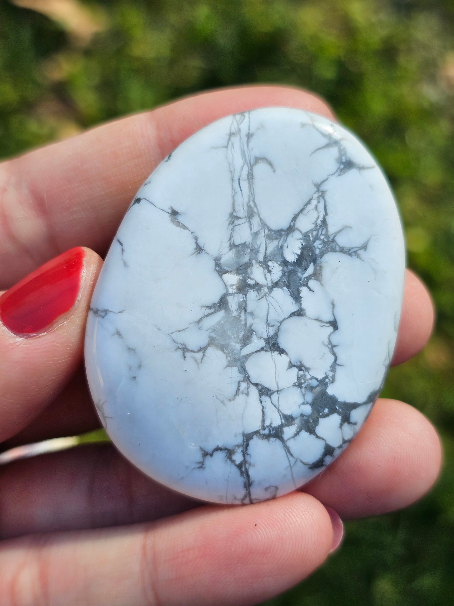 Galet plat Howlite (à choisir)