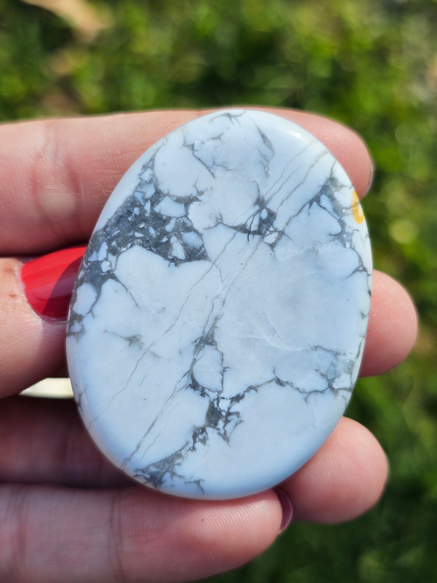 Galet plat Howlite (à choisir)