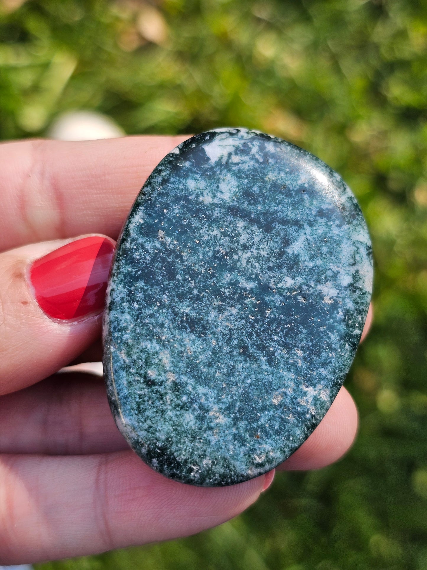 Galet plat Agate arbre (à choisir)