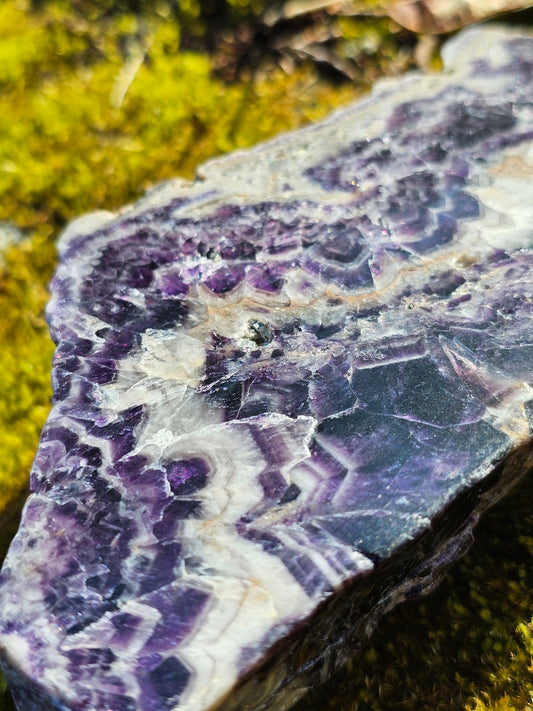 Grande Tranche polie d'Améthyste d'Auvergne A