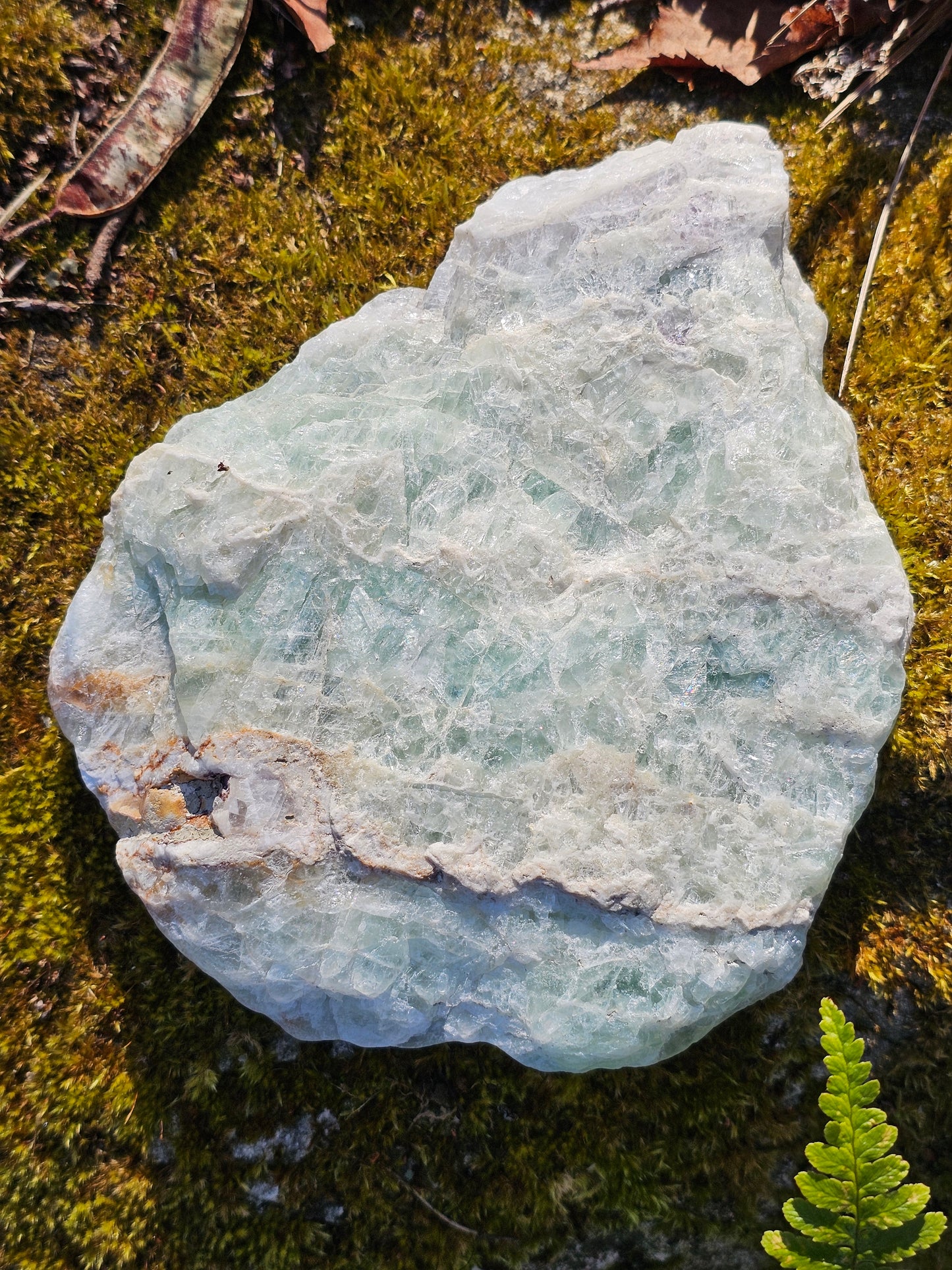 Sublime Tranche polie de Fluorite d'Auvergne