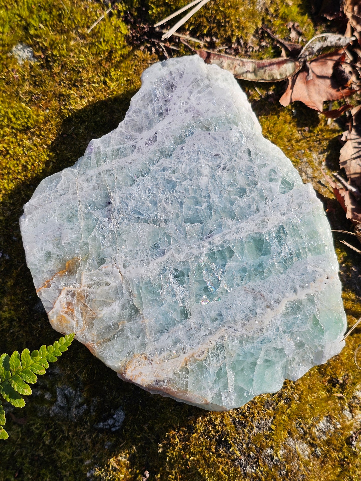 Sublime Tranche polie de Fluorite d'Auvergne C
