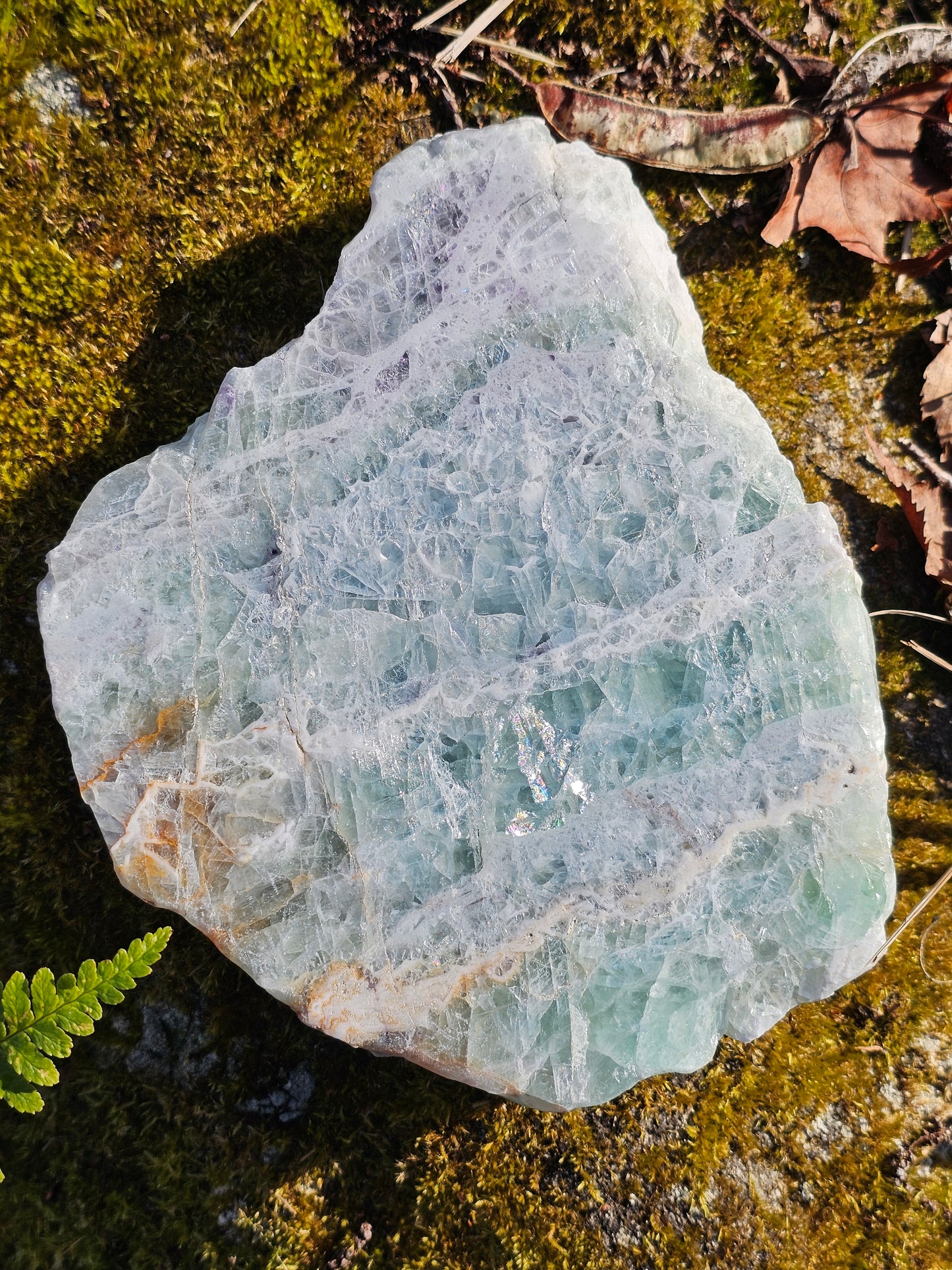 Sublime Tranche polie de Fluorite d'Auvergne C