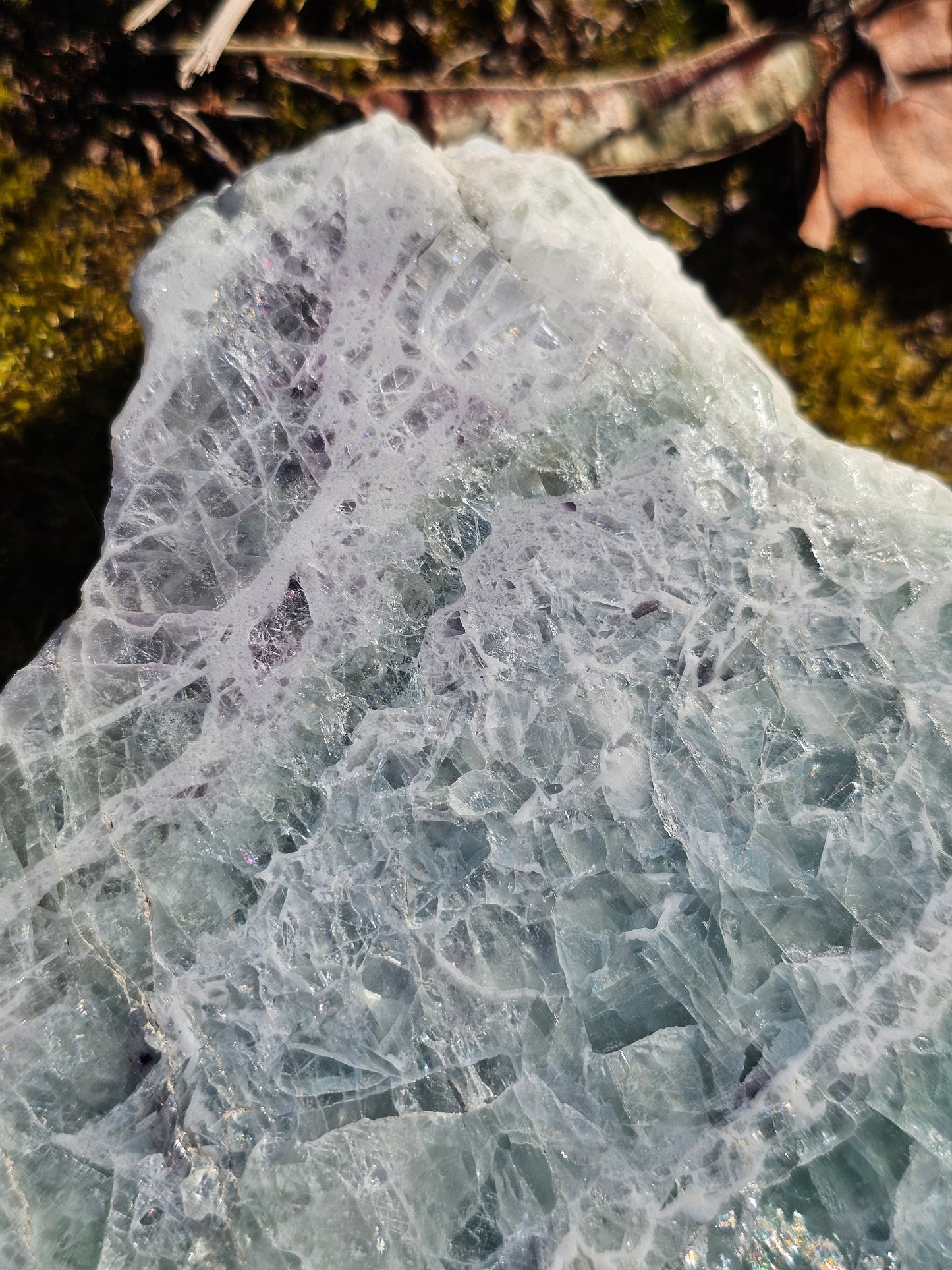 Sublime Tranche polie de Fluorite d'Auvergne C
