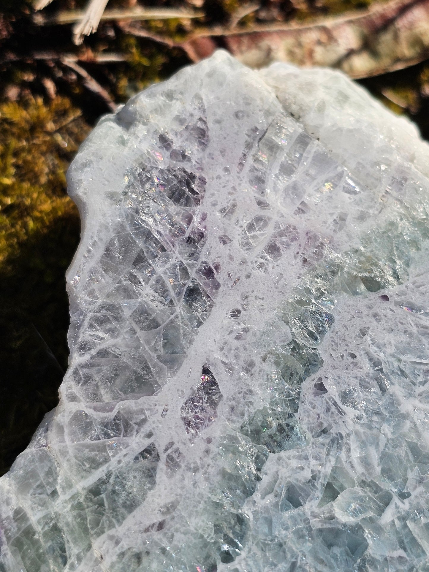 Sublime Tranche polie de Fluorite d'Auvergne C
