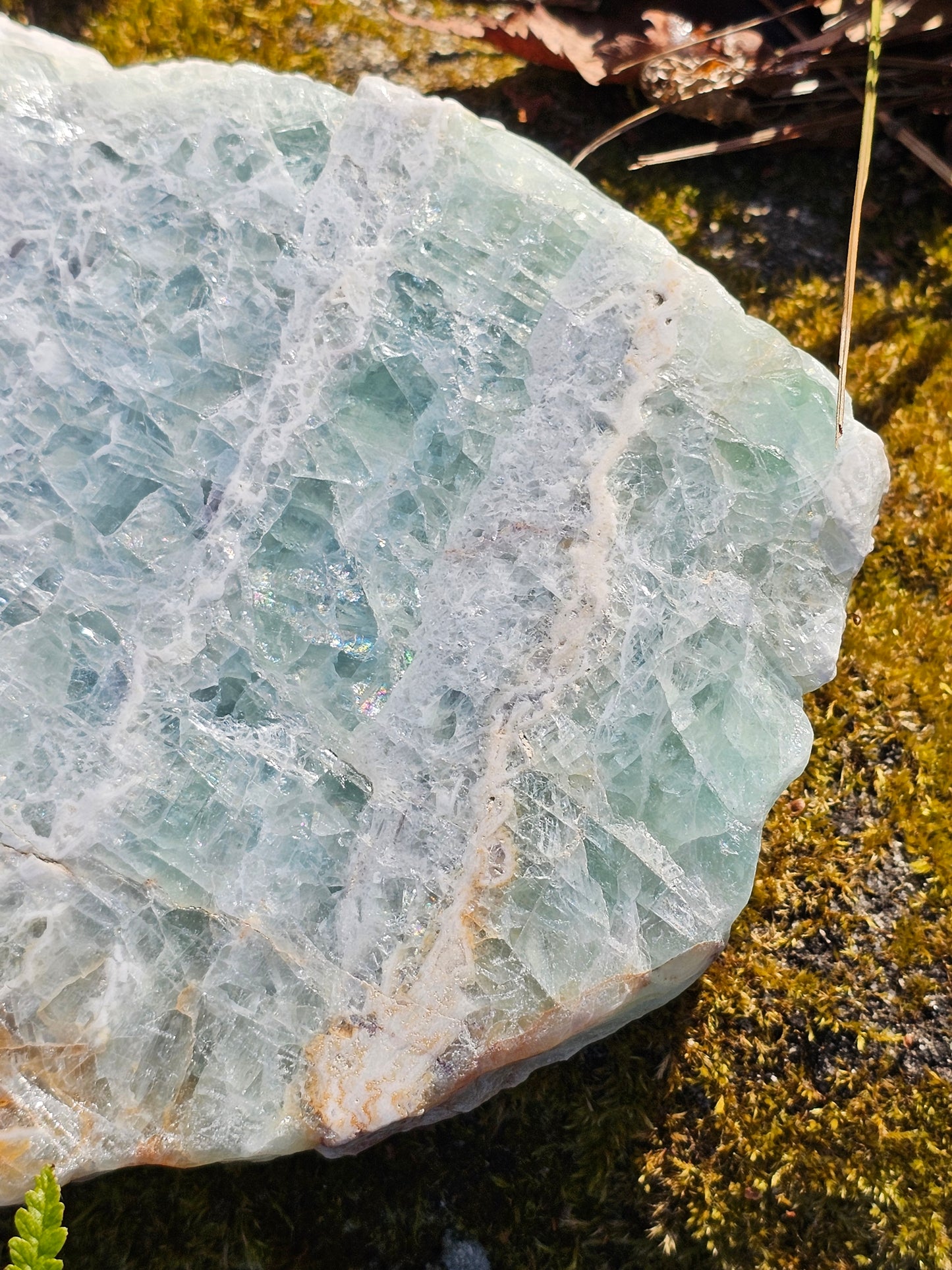 Sublime Tranche polie de Fluorite d'Auvergne C