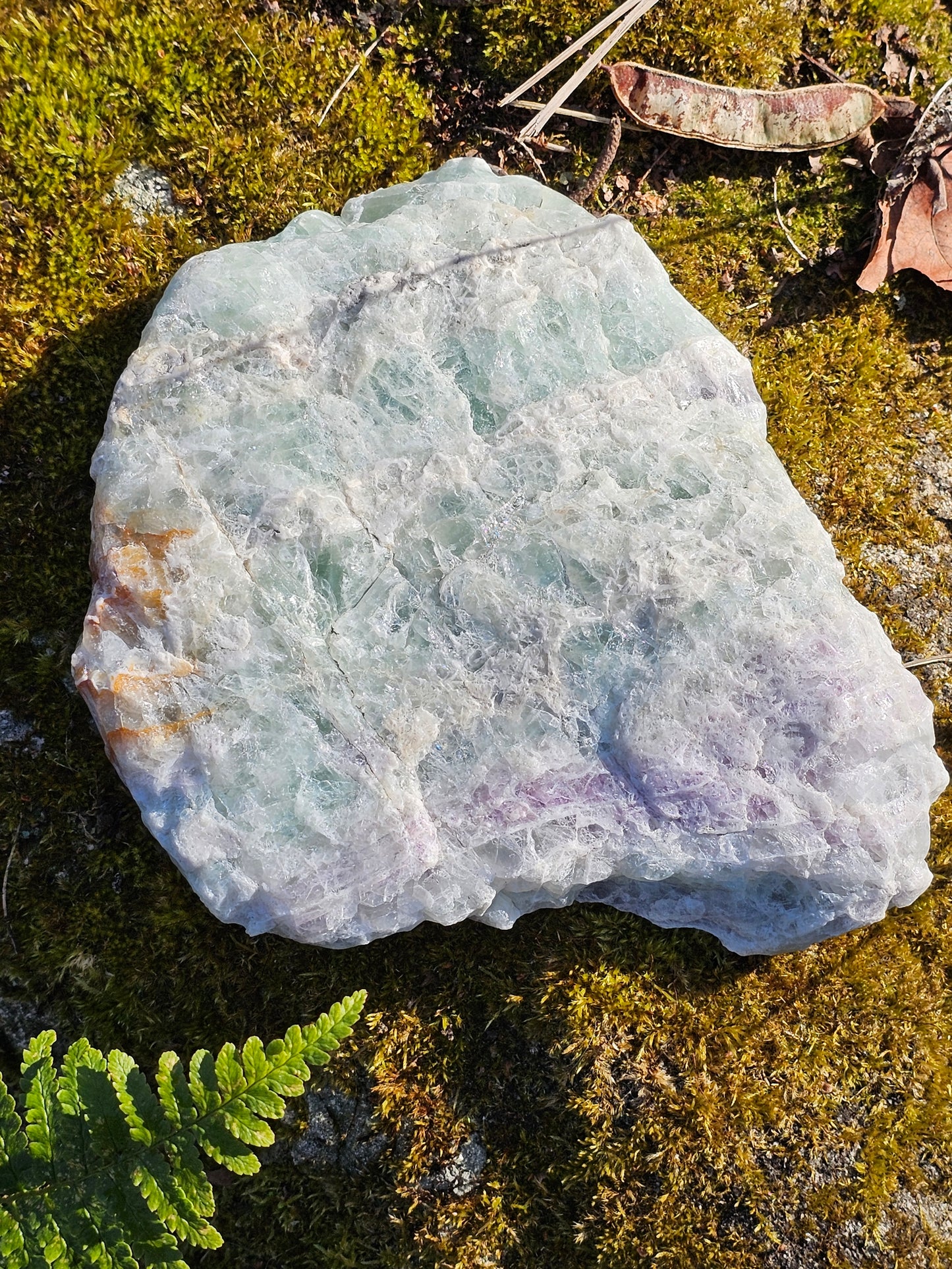 Sublime Tranche polie de Fluorite d'Auvergne C