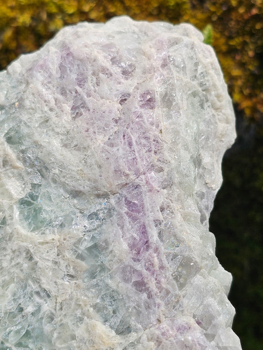 Sublime Tranche polie de Fluorite d'Auvergne C