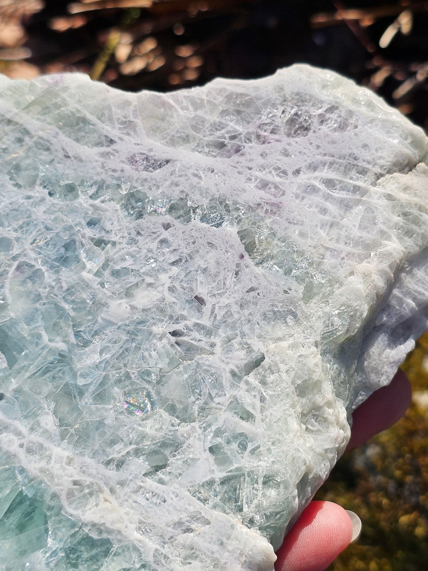 Sublime Tranche polie de Fluorite d'Auvergne C