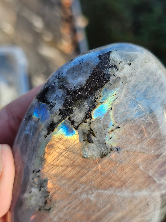 Forme libre Labradorite B