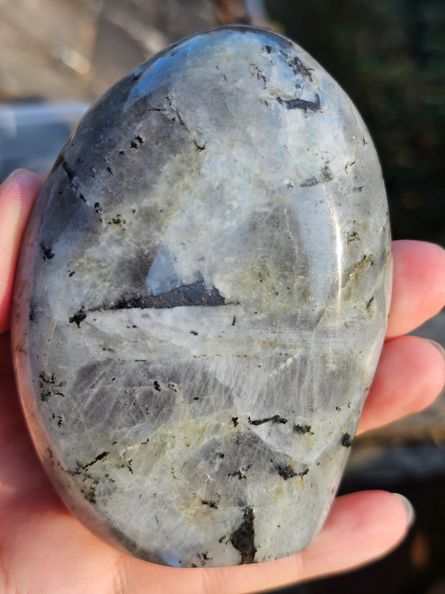 Forme libre Labradorite B