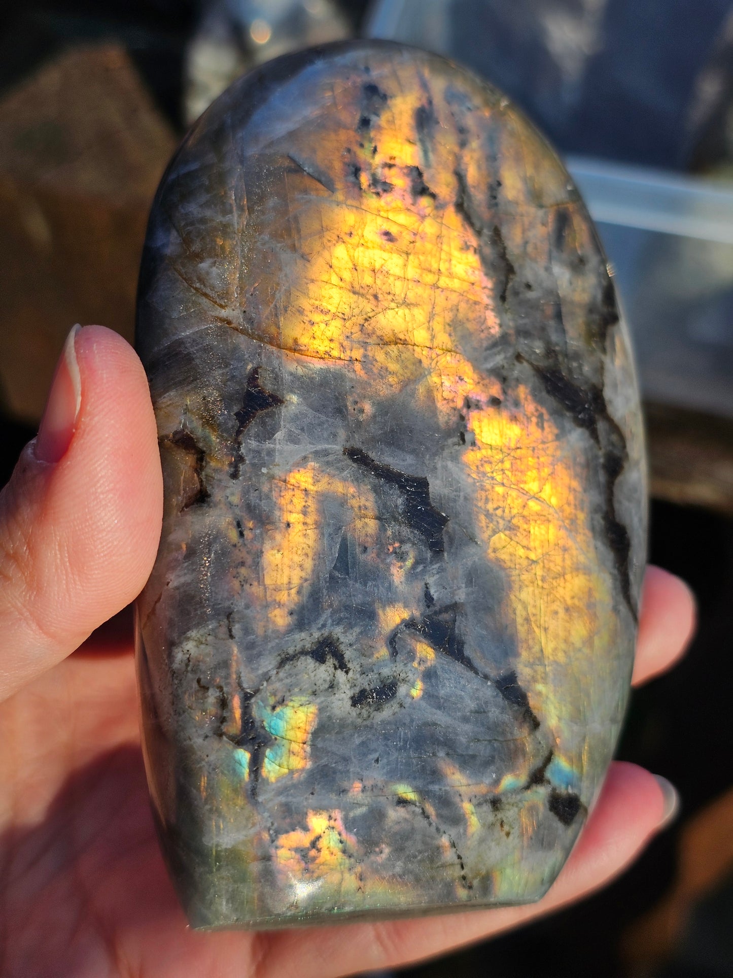Forme libre Labradorite C