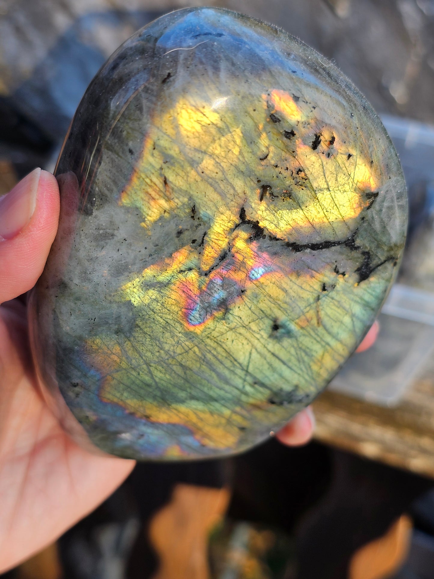Forme libre Labradorite E