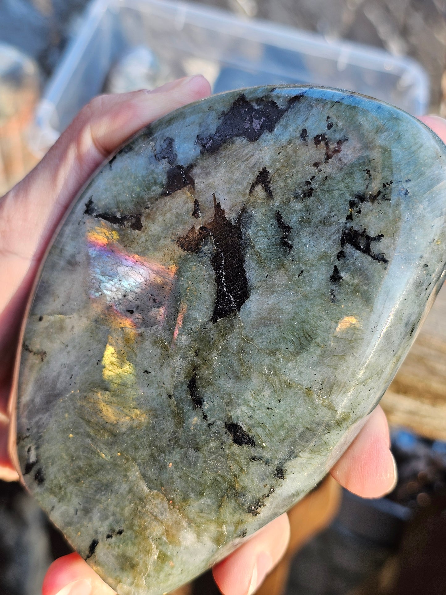 Forme libre Labradorite E