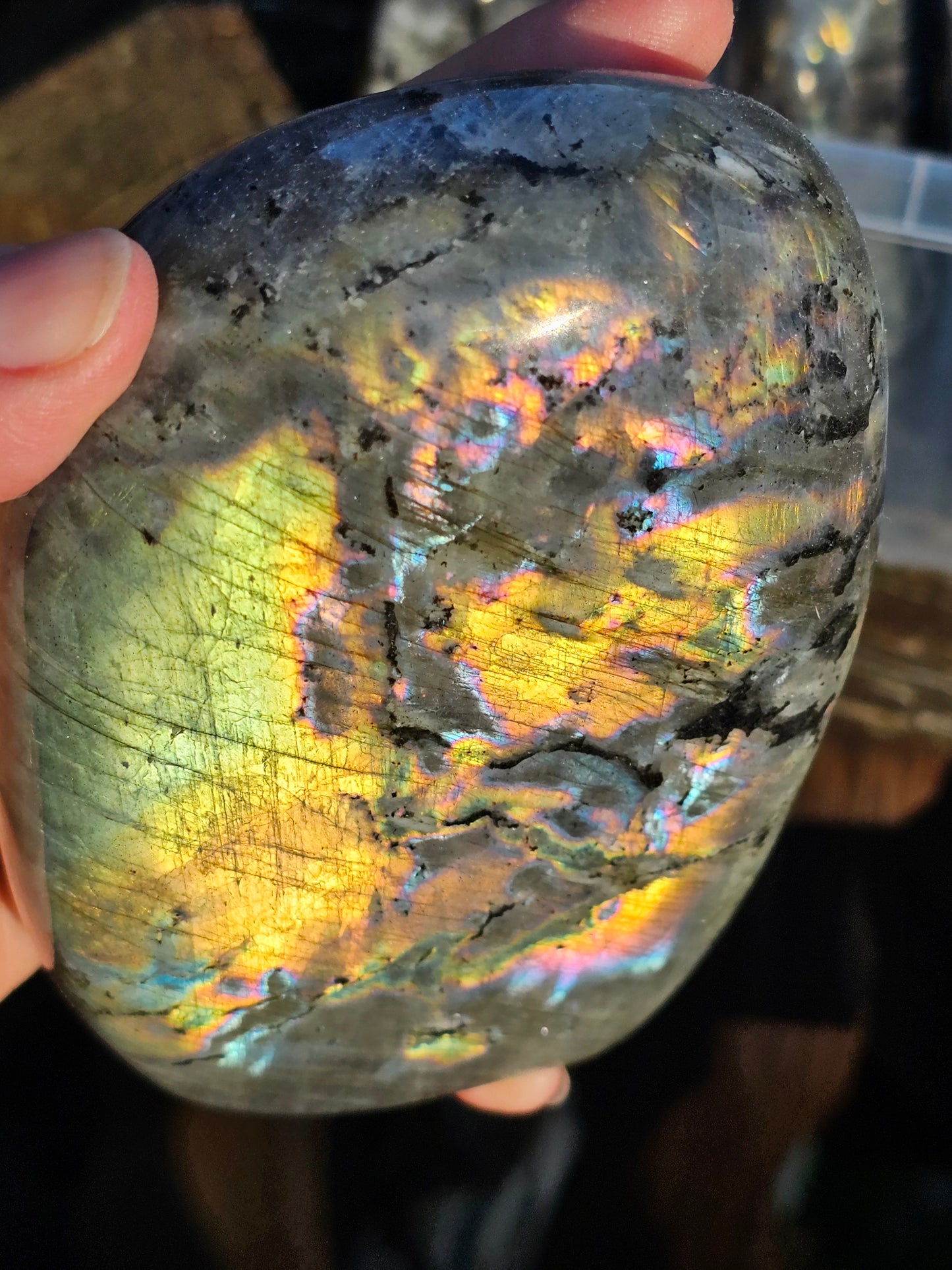 Forme libre Labradorite D