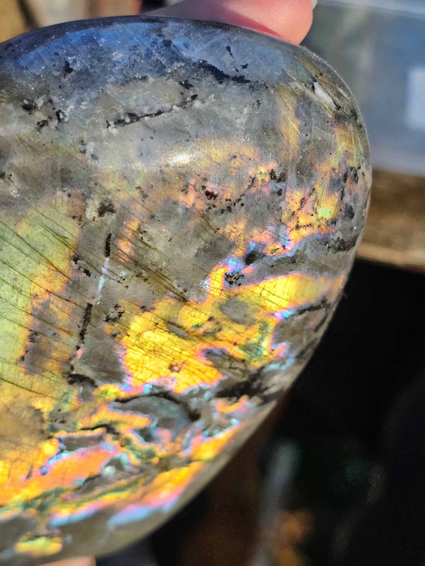 Forme libre Labradorite D