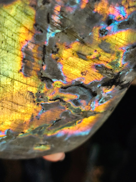 Forme libre Labradorite D