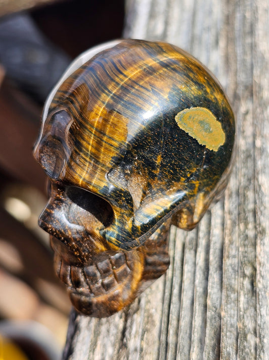 Crâne en œil de tigre et œil de faucon