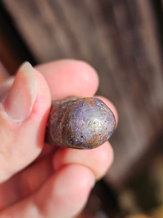 Saphir (corindon) étoilé d'Inde F