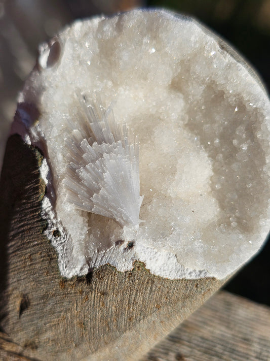 Géode de Scolécite H