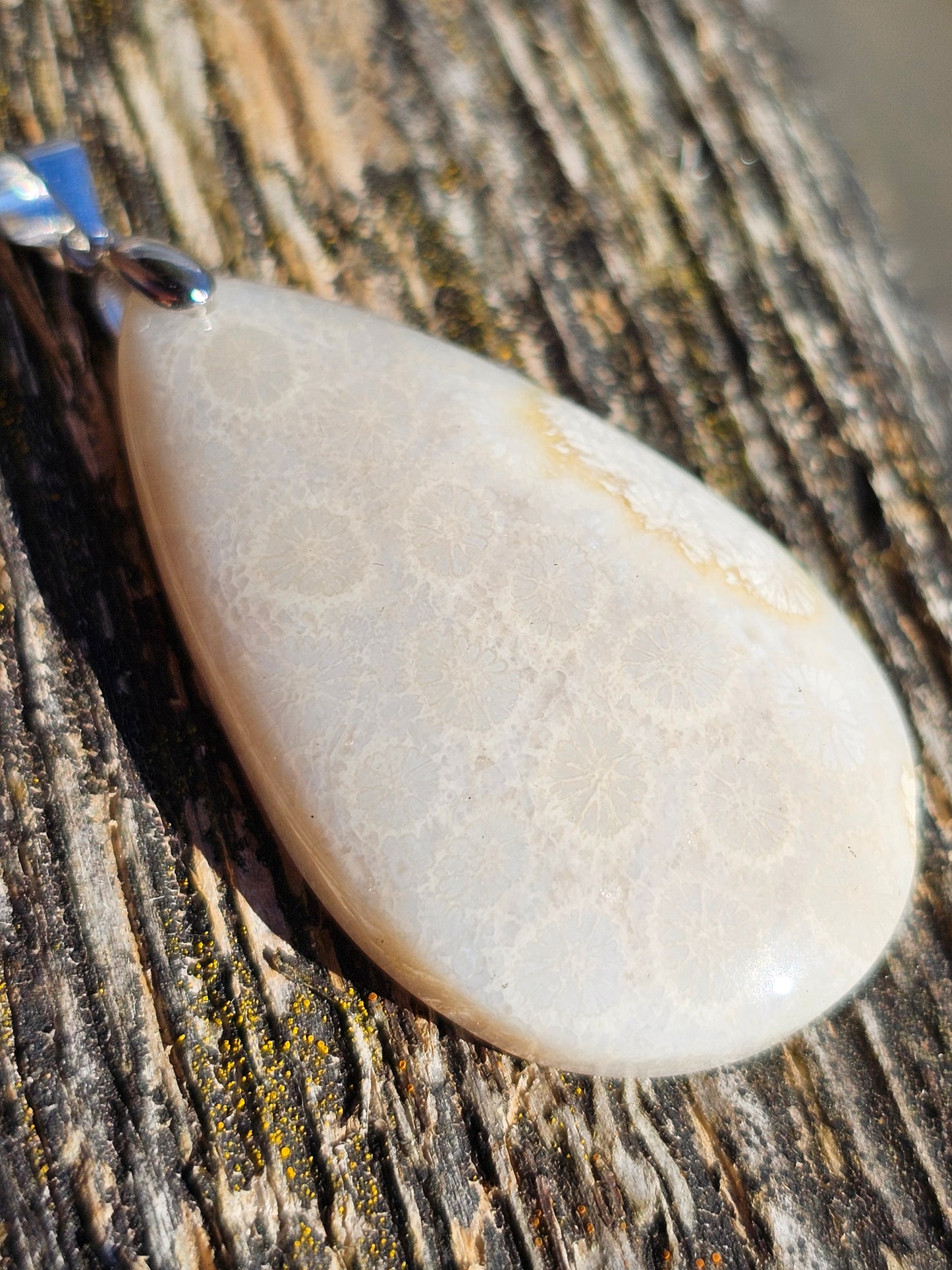 Pendentif Corail Fossile n°1