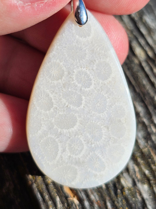 Pendentif Corail Fossile n°1